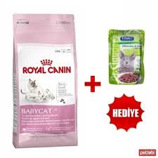 Royal Canin Mother Babycat Yavru Kedi Mamasi 4kg Balik Yagi Fit Kedi