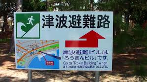 Because tsunamis can be caused by an underwater disturbance or an earthquake, people living along the coast should consider an earthquake or a sizable ground rumbling as a warning signal. Tanabe Japan March 31 Stock Footage Video 100 Royalty Free 8006683 Shutterstock