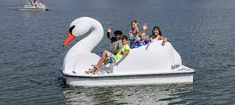 We doesn't provide swan boat for sale products or service, please contact them directly and verify their companies info carefully. Swan Pedal Boat Commercial Recreation Specialists
