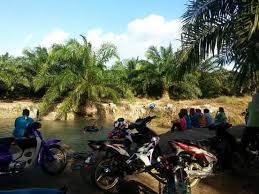#mykif #mykomunitikreatif #menarikkotatinggi paya biru felda lok heng selatan. Paya Biru Felda Lok Heng Mereka Satu Saya Orang Johor Facebook