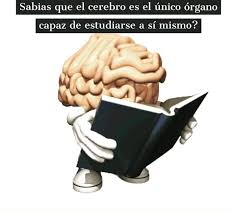 Sabias que el cerebro es el único órgano capaz de estudiarse a sí mismo?, Y para que otros cerebros continúen estudiando este maravilloso órgano en Japón, la tierra de la tecnología, se ha creado un ...