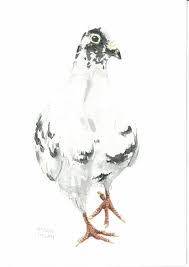 watercolour kus masal