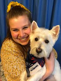 An Open Letter to Mainers Who Don't Pick Up Their Dog's Poop