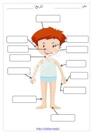 Jun 01, 2021 · the two main types of simple urdu worksheets for grade 1. Name Of Body Parts Kids Learning