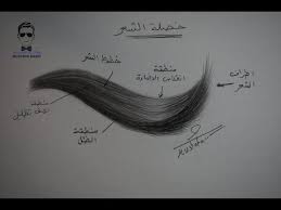 كورس تعلم رسم الشعر بالرصاص للمبتدئين Youtube How To Draw Hair Step By Step Hairstyles Hair Styles