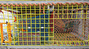 These authentic traps are hand made of wood and netting. Fill Your Trap With Lobster From Maine All About Lobster Traps