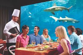 The location of this restaurant is close to the shark encounter. Seaworld Announces Changes In Food Policy