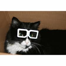 Aug 04, 2018 · styles we love: Cat With Glasses Gifs Wifflegif