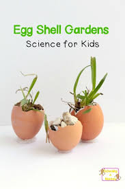 Egg Shell Garden Science Project Science Experiments Kids Egg Shells Science Experiments For Preschoolers
