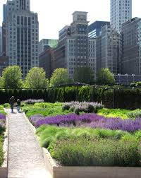 The Lurie Garden In Millennium Park Chicago Landscape Design Millennium Park Landscape Architect