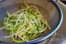 How to store zucchini noodles. How To Preserve Zucchini Noodles Other Ways Garden Mentors