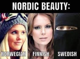 Jimmie akesson 11.03/17:51 meme warfare in the swedish. Sweden Everybody Daily Lol Pics