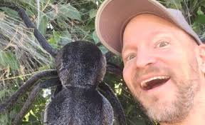 Meet Freddie Morales