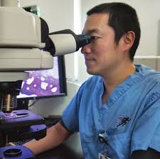 Orthopaedic Research