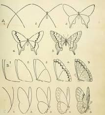 Adim Adim Tatli Kiz Cizimi Ile Ilgili Gorsel Sonucu Dibujos Como Dibujar Mariposas Dibujar Arte