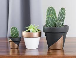 4:33 am health info 5 comments. Four Benefits Of Having Plants In The Office