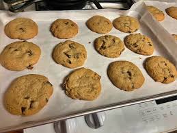 Bacon grease cookies