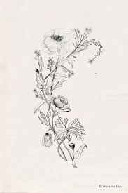 Wildflower Tattoo Tumblr Wildflower Tattoo Poppies Tattoo Custom Tattoo