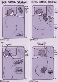 In this sleep position, cats tuck their tail around their body and hug it toward their chest to preserve body heat and protect their organs. Cat Sleeping Positions Meme Aline Art