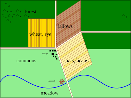 three field system wikipedia