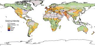 The rcp8.5 combines assumptions about high population and relatively slow income growth with modest rates of. Rcp 8 5 A Scenario Of Comparatively High Greenhouse Gas Emissions Springerlink