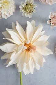 Paper flowers are not only a beautiful way to decorate your home, but the process of making them is relaxing and mindful. Online Courses Crafted To Bloom