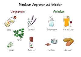 Ein paar löffel von gemahlenem kaffee an strategischen stellen werden die ameisen ebenfalls aus dem haus vertreiben. Ameisen Bekampfen Naturliche Und Chemische Mittel