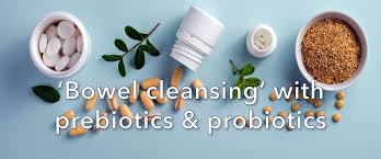 Supporting the intestines in a meaningful way – using prebiotics and  probiotics in an Ayurvedic therapy - Maharishi Ayurveda Health Centre Bad  Ems