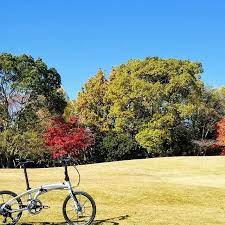 さだはinstagramを利用しています 紅葉 自転車 小径車 ミニベロ 折りたたみ自転車 ポタリング ゆるポタ 自転車のある風景 チャリでブー スマホ越しの私の世界 bicycle minivelo pottering foldingbike te bicycle vehicles