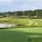 Thomas Sharkey Individual Collegiate event image