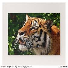 Pin On Animals
