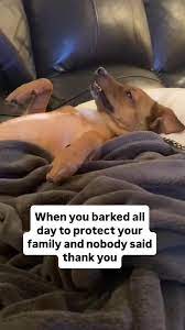 images?q=tbn:ANd9GcQWe0fXAuv9sCMVDW_F7az