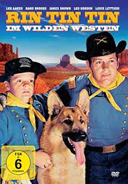 Sustained an injury to his ear which prevented him from making personal appearances but continued in the breeding program. Rin Tin Tin News Termine Streams Auf Tv Wunschliste