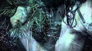 Welcome to the soggy section of ireland's outback, where mist, curses, sinister chants, vivid metaphors and memories of murders breeze across the bog. By The Bog Of Cats Youtube