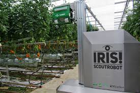 Experienced robot lovers can develop with c coding and use 3d printing to add extension. The Fruits Of Cooperation In Agri Food Canada Netherlandsandyou Nl