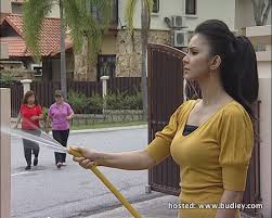 Rozita abu bakar (atau lebih dikenali sebagai rozita che wan dan che ta; Rozita Che Wan Bintangi Drama Teduhan Kasih Sensasi Selebriti