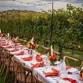6th Annual Harvest Dinner In The Vineyard