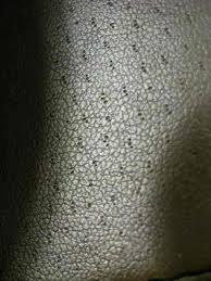 Maybe you would like to learn more about one of these? Waktu Solat Malaysia Waktu Solat Dot Net