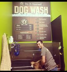 We provide waist high tubs (no more bending down to wrestle the dog in the shower at home or hosing in the yard), all natural shampoo selection, aprons, brushes, fresh towels and a high speed blow dryer. 43 Self Service Dog Wash Ideas Dog Wash Dog Washing Station Dog Grooming Salons