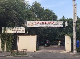 Lista cu cele mai bune restaurante din bucuresti o gasiti pe portalul nostru, astfel nu ramane decat sa treceti in revista informatiile si sa alegeti in functie restaurantul potrivit poate fi cel aflat mai aproape de dumneavoastra, cel unde gateste un chef faimos, unul cu muzica live, seri de karaoke sau dans. Torna Fratre My Favorite Restaurant In Bucharest Julie Tetel Andresen Julie Tetel Andresen