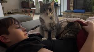 Gabe is a natural underwater, not surprising, he works for a pool company! 