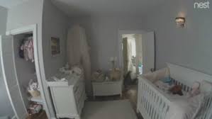 Find pet care, book and pay, and get updates through the app. Exotic Cat Breaks Into Home Attacks Family Pet Wjar