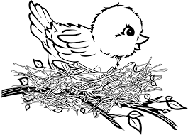 Bird Cartoon Pictures Black And White Cartoon Birds Nest Az Coloring Pages Cartoon Birds Coloring Pages Illustration