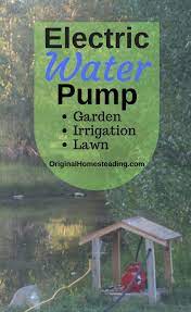 How to clear murky pond water. Electric Water Pump Irrigating Garden Or Lawn