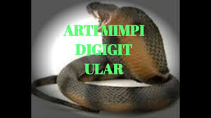 Mimpi digigit ular mungkin juga mempunyai makna yang baik bagi kehidupan anda, ada juga makna buruk dari mimpi tersebut. Arti Mimpi Digigit Ular By Tafsir Mimpi Arti Mimpi
