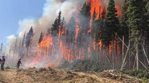 Advisor submits initial action plan and specialized. 2018 Now Worst Fire Season On Record As B C Extends State Of Emergency Cbc News