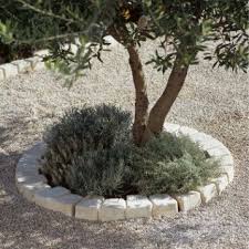 Https Www Leroymerlin Fr V3 P Produits Terrasse Jardin Terrasse Et Sol Exterieur Bordur Amenagement Jardin Olivier Bordure Jardin Decoration Jardin Exterieur