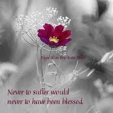 Never To Suffer Would Never To Have Been Blessed Pin On Rumi Hugs Rumi Heals Philosopher S Bar Fb Pages