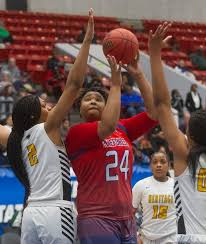 Image result for Tarenna leonardii