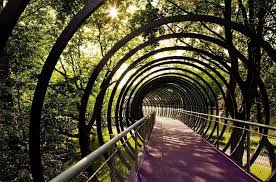 Walking Bridge Slinky Springs To Fame Pedestrian Bridge Landscape Architecture Design Outdoor Bridges
